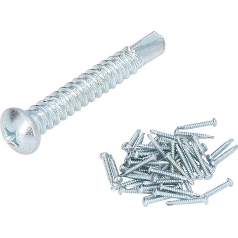 Kit de 50 vis autoperceuses cruciformes en acier au carbone 4,8 x 32 mm à tête ronde pour réparations (1/5)