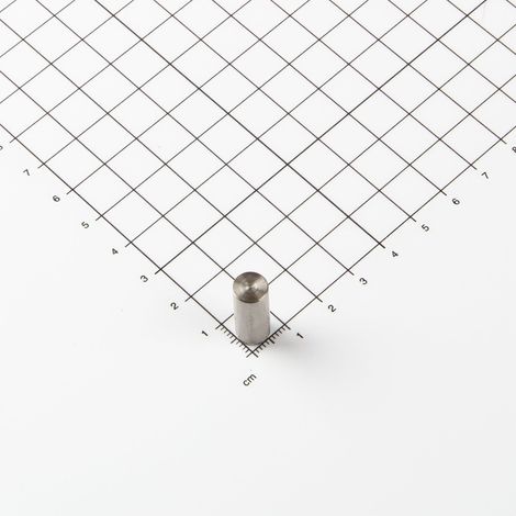 Magna-C Zylindrische V2A-Magnetsysteme Ø8x20mm (1/3)