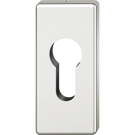 FSB Zylinderrosette 17 1778 eckig, Aluminium silber eloxiert