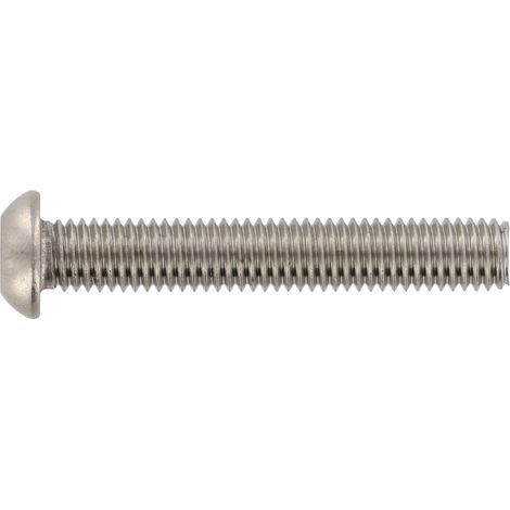 Sicherheitsschrauben Torx mit Pin + ISR M5x20 TX25 Flachrundkopf Schrauben, Edelstahl A2 - 100 Stück (1/4)