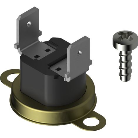 BOSCH Temperaturfühler, 8738715173