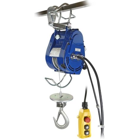 Treuil électrique à câble capacité de charge jusqu'à 230 kg