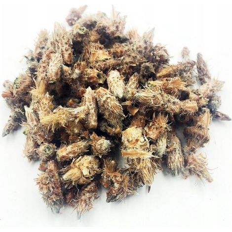 GEMME DI PINO INTERE 200 G 100% NATURALE NEGOZIO