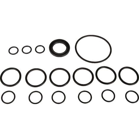 Kit ricambio pompe Bertolini BERTOLINI 629803973