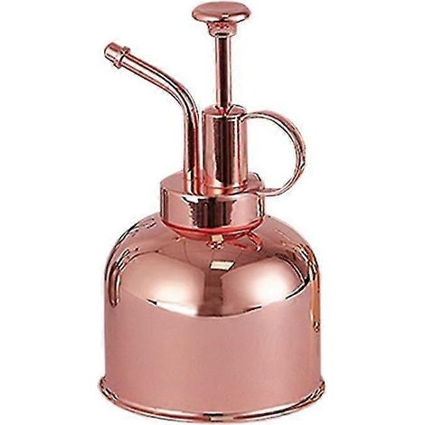 Arrosoir à pression rétro vintage - Mini pulvérisateur en acier inoxydable antirouille pour semis, plantes d'intérieur, succulentes et bonsaïs (1/5)