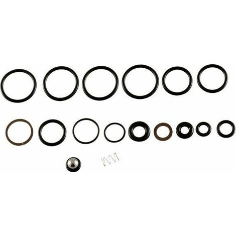 KIT ORING OR PER VALVOLA BYPASS  IDROPULITRICE ANNOVI REVERBERI RSV 2190