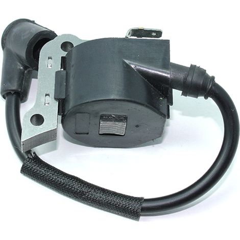Accensione Elettronica motosega Dolmar,OleoMac, Efco compatibile