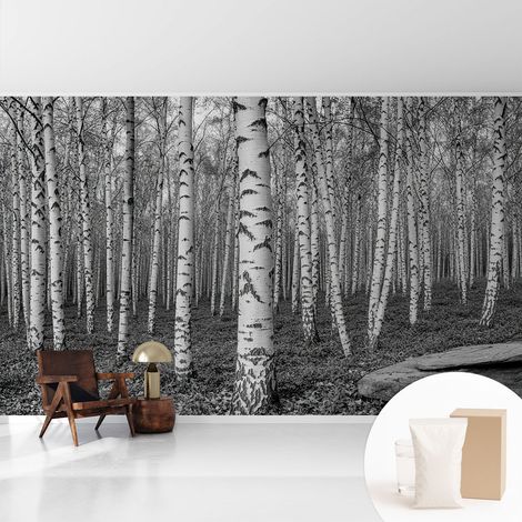 Papier peint avec colle pour décoration moderne de salon chambre à coucher cuisine et bureau Facile Forêt de bouleaux 416x254 cm (1/5)