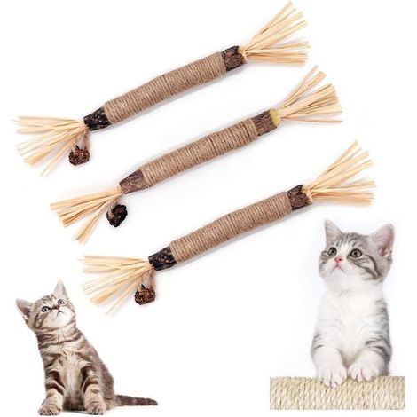 Bâtonnets à mâcher à l'herbe à chat - VANGUARDIS - Lot de 3 - Matériau naturel - Hygiène dentaire - Haleine fraîche (1/5)