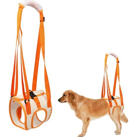 Harnais de Levage pour Chien, Soutien Pattes Arrière Postopératoire, Ceinture Rééducation Chiens Âgés Blessés, Tissu Polyester Doux et Respirant, Taille L (1/5)
