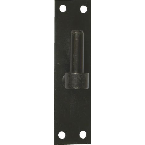Bisagra sobre placa de acero prepintado, H.120x Diam.16 mm AFBAT