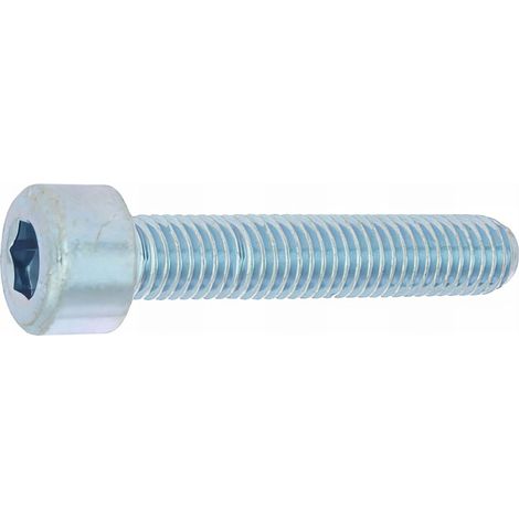50 Vis métaux cylindriques hexagonales creuse DIN912 acier zingués blanc 8,8 - diamètre 10 mm - Longueur 100 mm - Diamètre 10 mm
