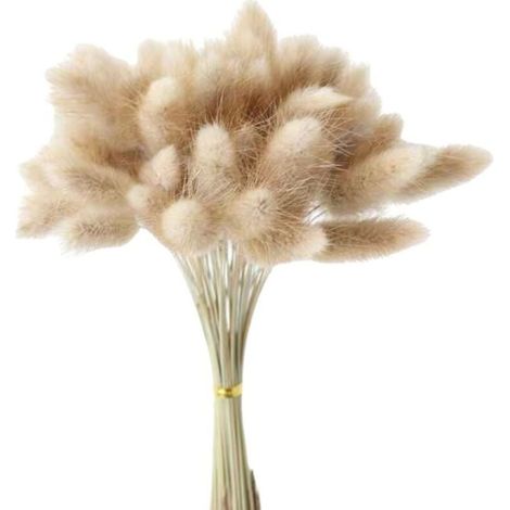 Pampas Herbe Vase DéCoratif Home Arrangements de Pampa SéChéE Plantes Fluffy Fleurs SéChéEs 90 Pièces 55 Cm (1/4)