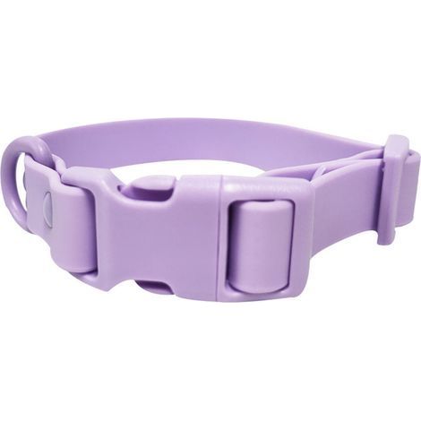 Collier en cuir violet pour chien - Taille M - Cuir souple, réglable, boucle métal, classique et durable (1/5)