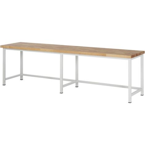 Rau établi modèle 8000 LxPxH 3000x900x840mm (1/5)