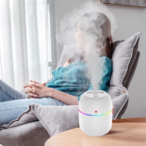 Mini humidificateur USB 220 ml, diffuseur de brume fraîche portable pour la maison (1/5)