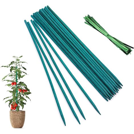 25 - Tuteur Plante - Piquet Tomate - Support Pour Plantes Grimpantes - Idéal Jardin Et Intérieur - Vert - 30cmx0,5cm