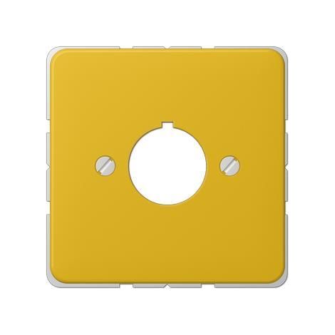 Jung Copertura per dispositivi di comando con 22,5 mm Ø 1 posto, duroplastico, serie CD, giallo 564 GE