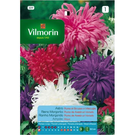 Vilmorinsamen von Reina Margarita variierte StrauÂ¤ Feder S-1, 0,8 g