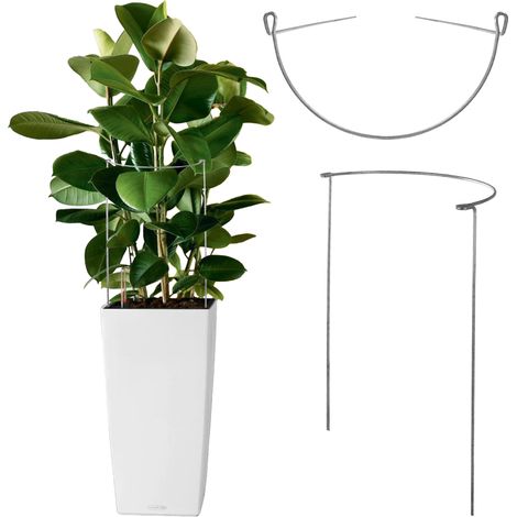 KADAX Pflanzenhalter aus Stahl, Staudenhalter, Rankengewächs, halbrunde, 75 cm