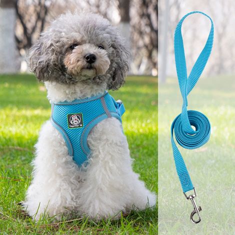 Harnais Pour Chien - Harnais Anti-Échappement Avec Sangle Réfléchissante - Idéal Pour Marche Et Course - Taille Réglable - 1 Pièce