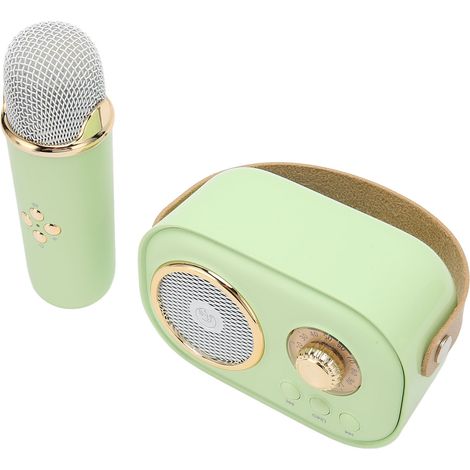 Enceinte Bluetooth sans fil avec microphone portable rechargeable, mini-enceinte et micro pour fêtes à la maison (1/5)