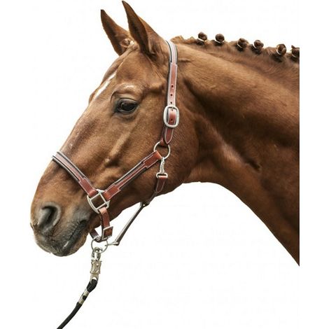 Pour en savoir plus :, noir 9100: Capezza en cuir pour chevaux modèle Soft (1/5)
