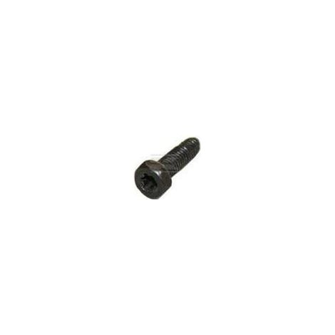 Vis BRIGGS & STRATTON 794904