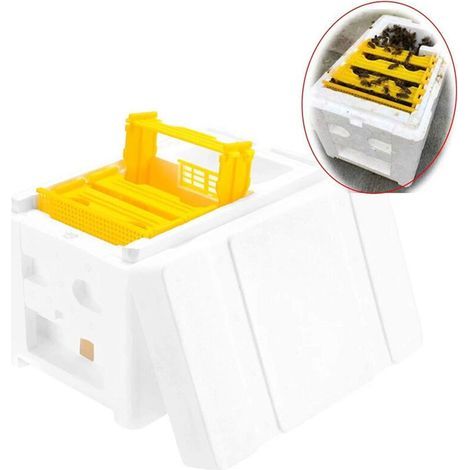 Ruche d'abeille, boîte de ramassage pour abeilles, pollinisation, apiculture roi, pour la reine, outils d'élevage (1/5)