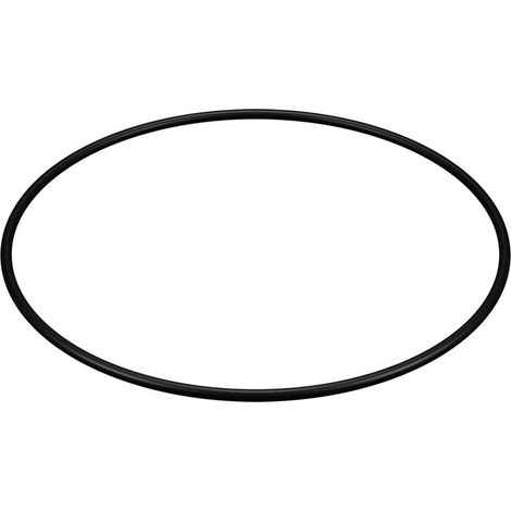 1 Joint carter pour filtre SwimClear, diamètre intérieur 291 mm, épaisseur 7 mm, compatible modèles C100SE/C150SE/C200SE (1/3)