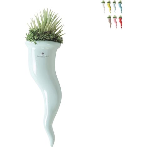 Plante succulente en pot cornet en céramique Paola Rolando Partenope - Turquoise