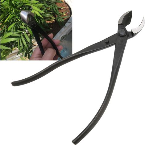 Pince à boule coudée de 210 mm, outil professionnel pour la mise en forme des bonsaïs et le jardinage. (1/5)