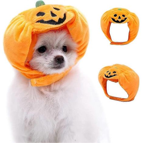 Halloween-Kürbishut für Haustiere (1/3)
