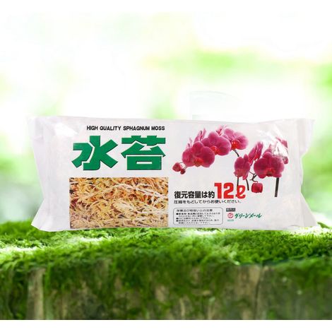Mousse de Sphagnum pour Orchidées Phalaenopsis - Engrais Organique Nutritif et Hydratant (1/5)