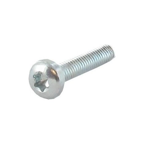 Tornillo TORX M4 x 20mm GGP - CASTELGARDEN 112735645/0
