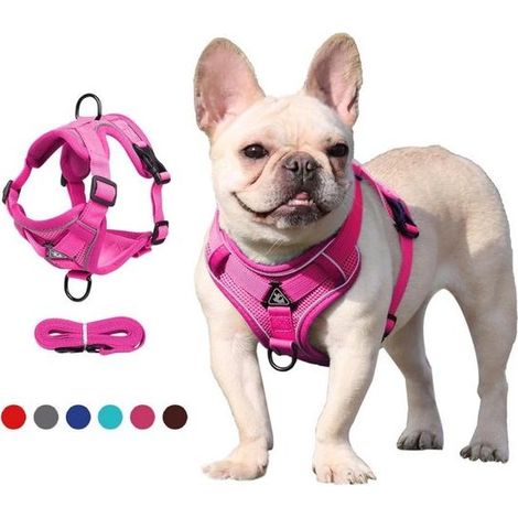 Harnais réglable pour chien avec laisse, gilet rembourré anti-traction et anti-fugue, taille S (1/2)