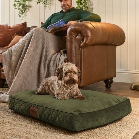 Paws for Slumber Padded Pet Bed, Green, Medium