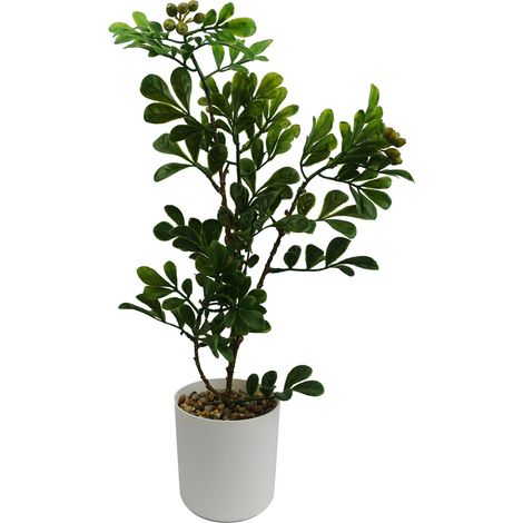 45cm Artificial Aglaia Odorata Bonsai Ficus Tree (1/4)