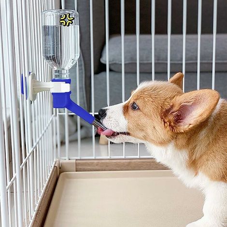 Distributeurs d'eau Chien Chat Bouteille d'eau pour Chien Gourde Chien à Suspendre sur Cage Bouteille d'eau de 500ml (1/4)