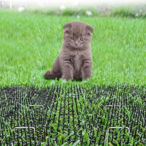 Tapis répulsif anti-chat - - 49 cm - 10 pièces - Intérieur et extérieur - Plastique non toxique (1/4)