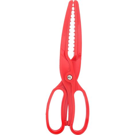Kit de pinces de pêche (ciseaux inclus) — Outils robustes pour la manipulation du poisson, pince à poisson légère et portable
