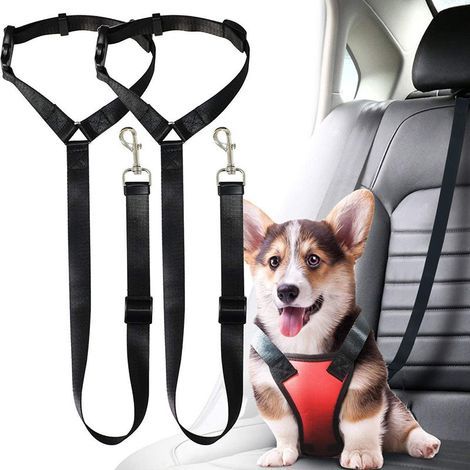 2-teiliges Hundesicherheitsgeschirr (Schwarz) aus Polyester – Abschleppseil – Sicherheitsstoßdämpfer – Elastisches Band – Doppelt verwendbar – Für Auto und Katze (1/5)