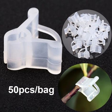 50 pinces à greffer transparentes en plastique pour jardin, légumes, fleurs, plantes, ornements et vignes (M20) (1/5)