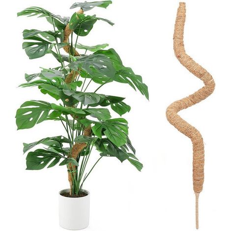 Tuteur Plante Coco Pliable 60 cm – Support Extensible (1/5)