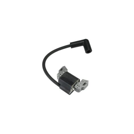 Jeu de bobines d'allumage Pièces détachées avec bouchon pour Briggs & Stratton 799582 798534 593872 595009 596532 Moteurs (1/5)