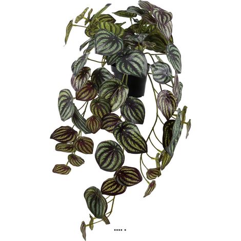Pépéromia artificiel panaché H 20 cm L 45 cm en pot (1/3)