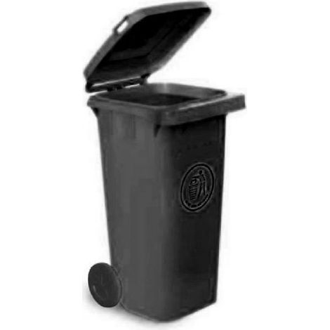 Poubelle Noire en Polypropylène, 120L ( Prix pour 1 )
