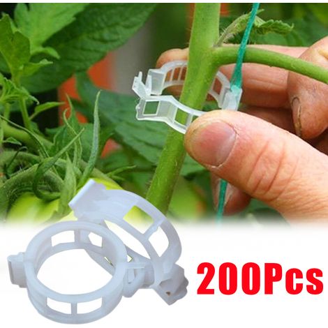 200 pièces en plastique Clips de plantes Supports connecte Protection réutilisable greffage outil de fixation fournitures de jardinage pour tomate (1/5)
