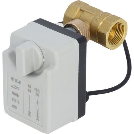 Motorisiertes Kugelventil, 2-adrig, 2-Wege, automatisch/manuell, normalerweise offen, DN20, AC220V, zur Steuerung (1/5)