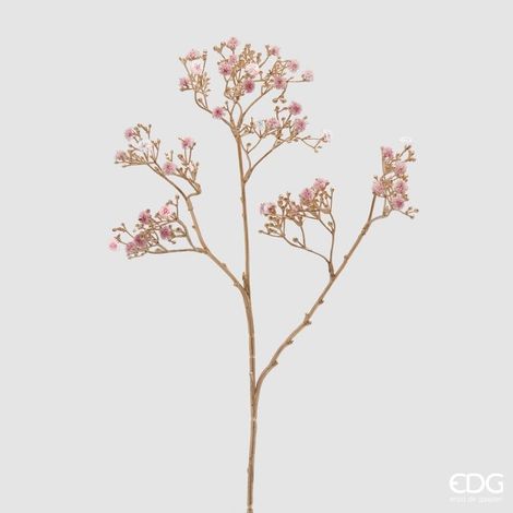 Ramo Gypsophila Stelo Oro H.68 Rosa